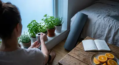 The Foundation Effect: Core Habits That Quietly Upgrade Your Health